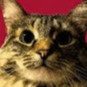 Meet your Posher, Jack